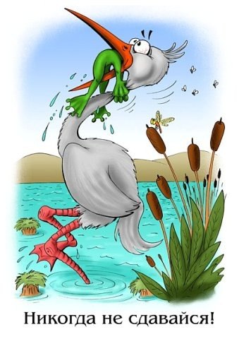 №127, Александр Бескоровайный №127, Александр Бескоровайный