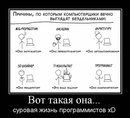 Фотография Егор Довнар