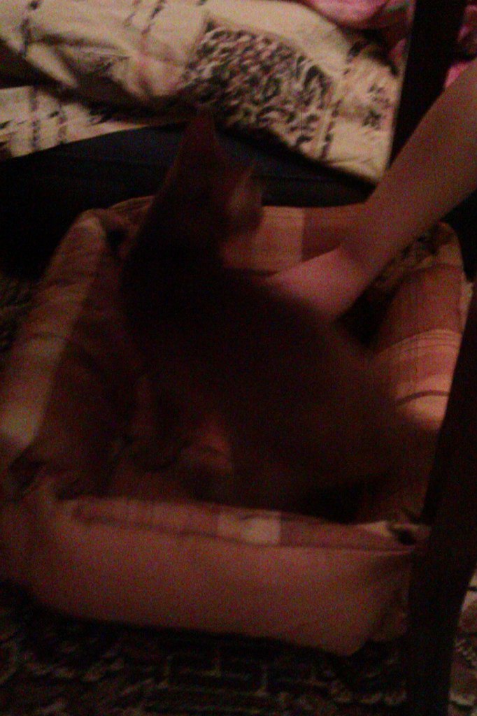 Михаил Ефимов | Москва