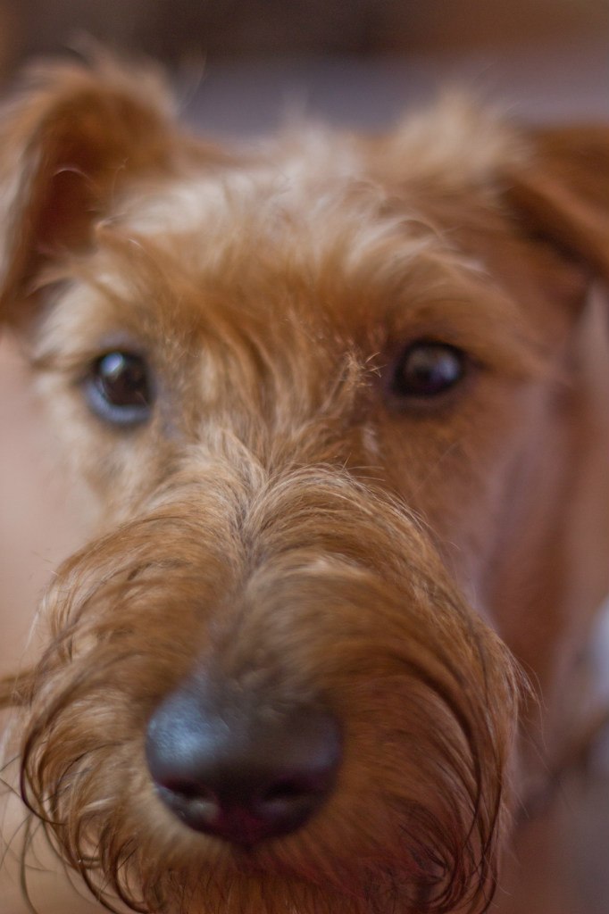 Наташа Гриднева | Челябинск