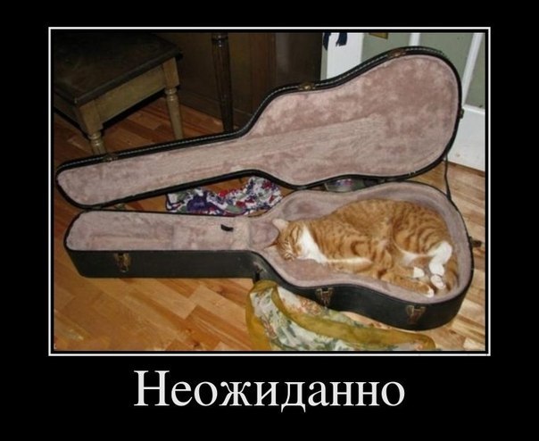 Ирина Иринина | Донецк