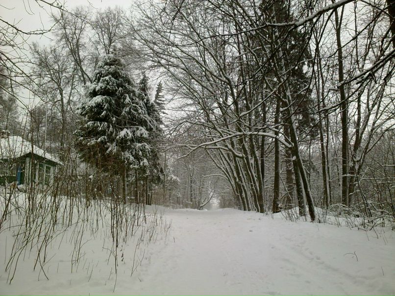 Павлуха Животнев | Дудино