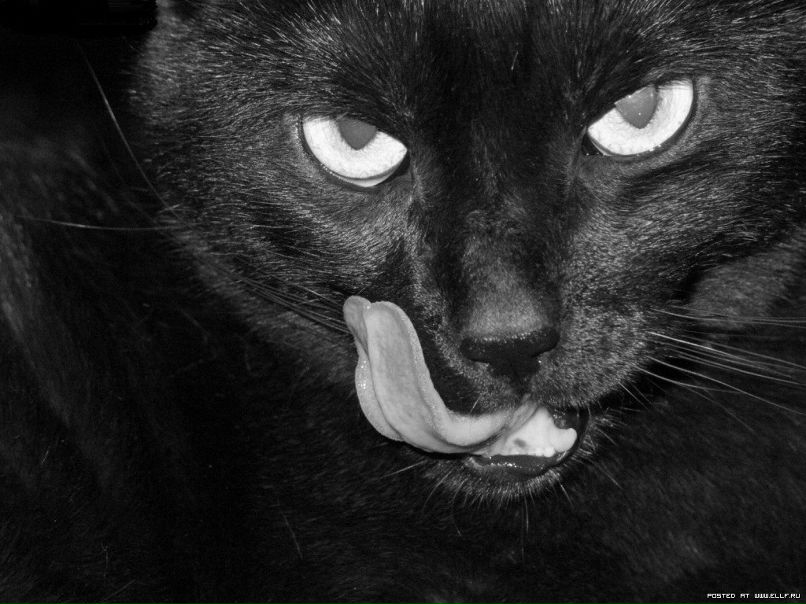 Алексей Захаров | Екатеринбург