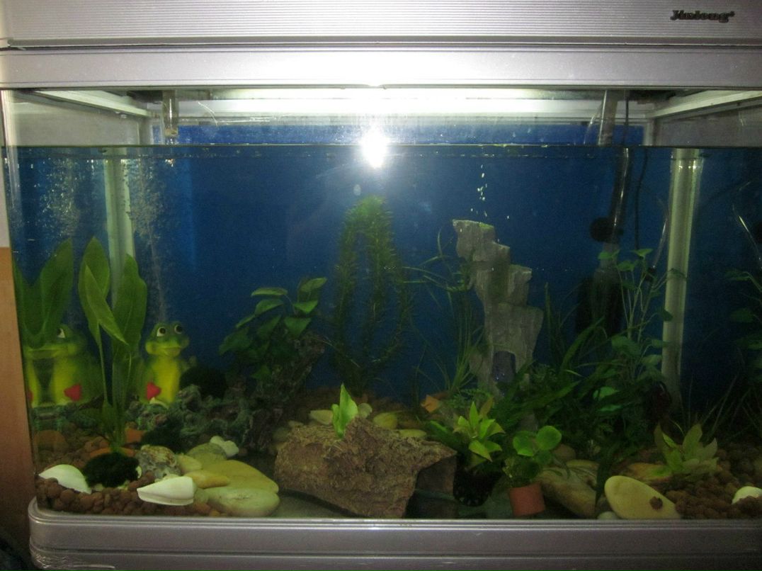 Евгения Адамсон ^Hi-chan^ | Москва