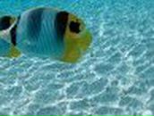 Ірина Лях | Львов