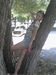 Владка Нурматова фотография #16
