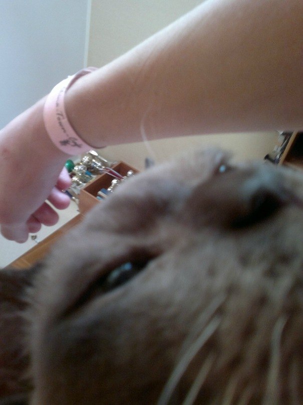 Алексей Губин | Москва