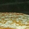 №37, Наталья Аджигитова, 58 лет, Астана №37, Наталья Аджигитова, 58 лет, Астана