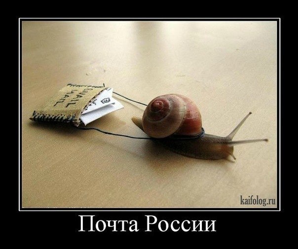 №6, Станислав Хазанский, Ижевск №6, Станислав Хазанский, Ижевск