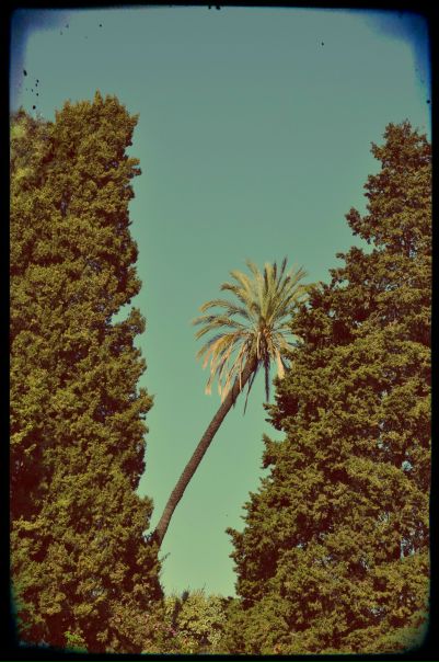 №16, Надя Шелгунова, Санкт-Петербург, Россия №16, Надя Шелгунова, Санкт-Петербург, Россия