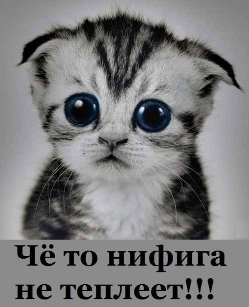 Алексей Гончаров | Ростов-на-Дону