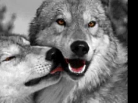 №21, Светлана Кичигина, Белгород №21, Светлана Кичигина, Белгород