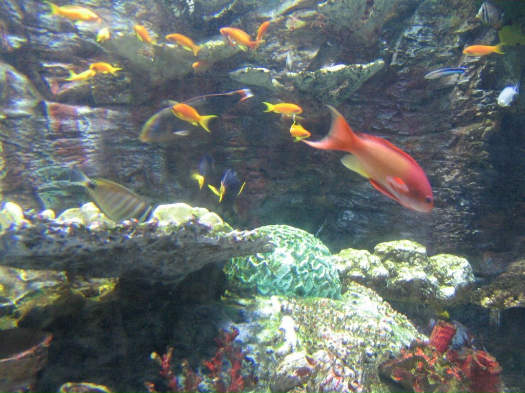 Ольга Еременко | Запорожье