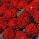№39 Мария Сотиякова 15.03.1990: профиль, фото, статус - ВКонтакте