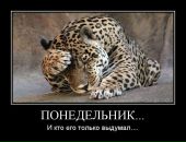 Фотография Владимир Симонов
