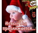 Фотография Павлова Александра