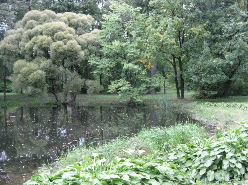 Иван Новоселов | Воткинск