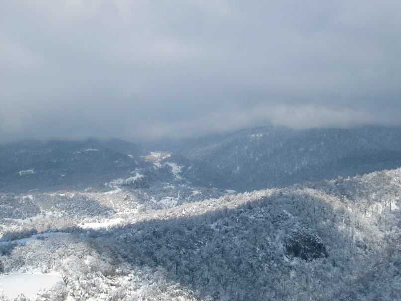 Валентин Кокарев | Москва