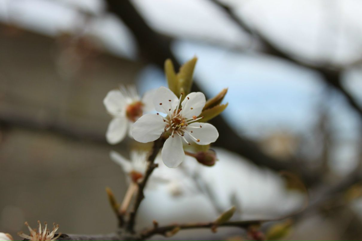 Антон Дерига Antoxxa | Новосибирск