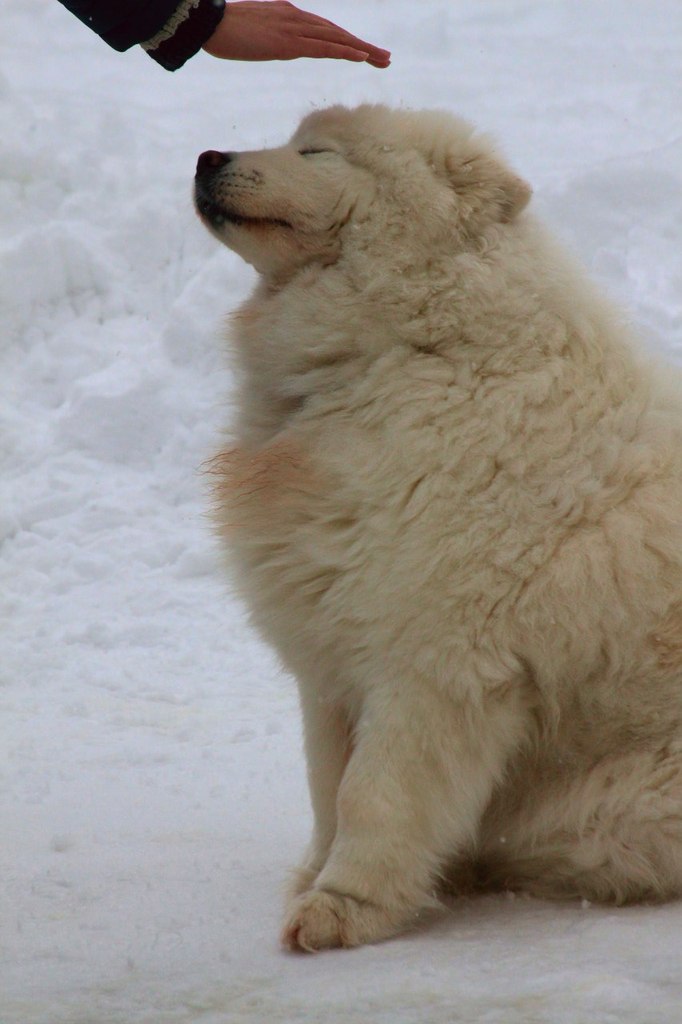 Nastya Kosheleva | Москва