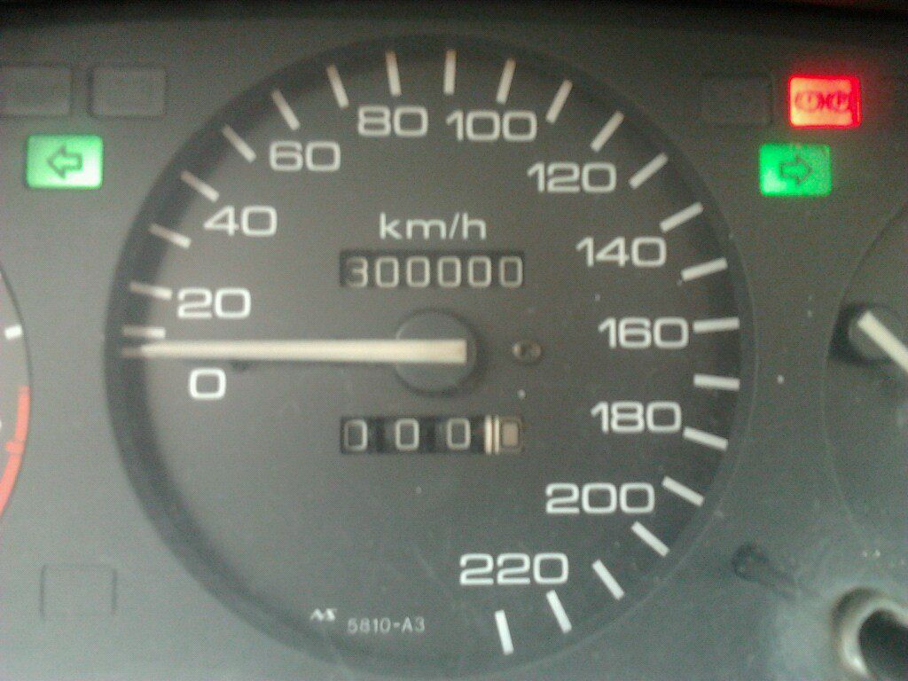 Томка Сидоренкова | Реутов