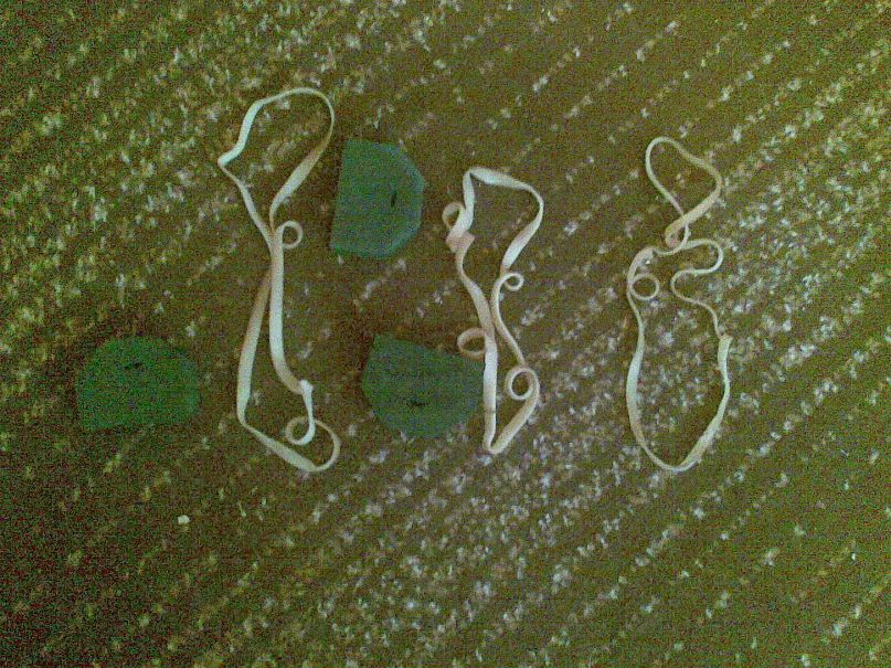 Дима Федоренко | Умань