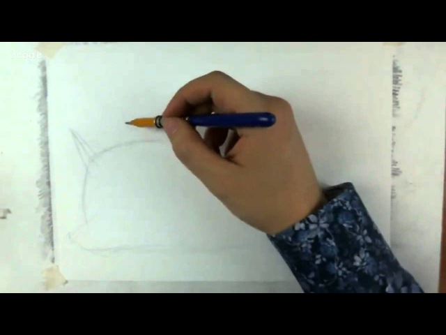 Рисуем котейку