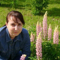 Наталья Уткина