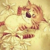 Батлы СШ № 27