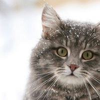 Надежда Юрьевна