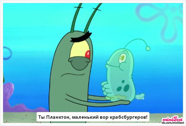 важно тест кто ты из губки боба с картинками фотографиях