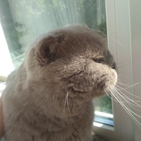 Славик Тихонов