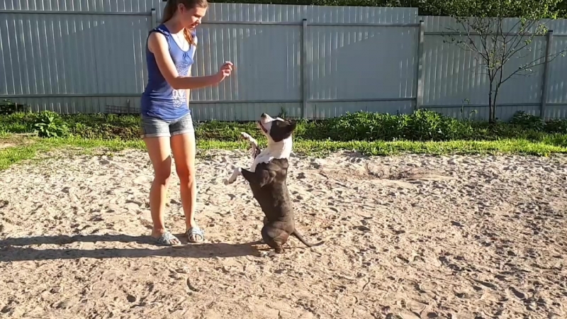 Стефания.