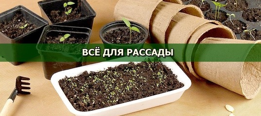 дача маркет екатеринбург интернет дача маркет екатеринбург интернет