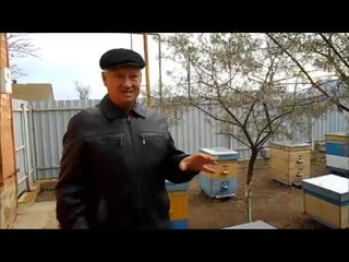 Вентиляция в ульях Рута.