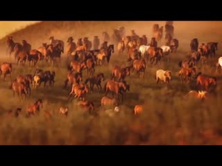 Отан  ор ау -  рб р м зд   парызымыз  (720p).mp4
