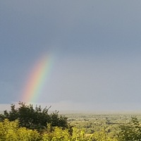 Александр Павлович