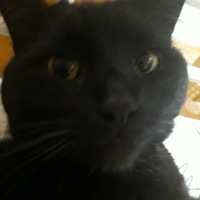 Игорь Тимонин |