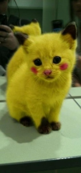 №152, Александр Москалёв, Мелитополь №152, Александр Москалёв, Мелитополь