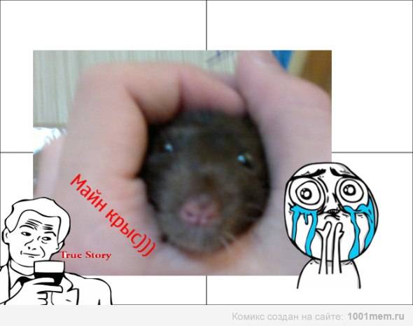 Дмитрий Васильев | Санкт-Петербург