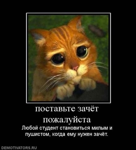 №2, Ольга Ходаренко №2, Ольга Ходаренко