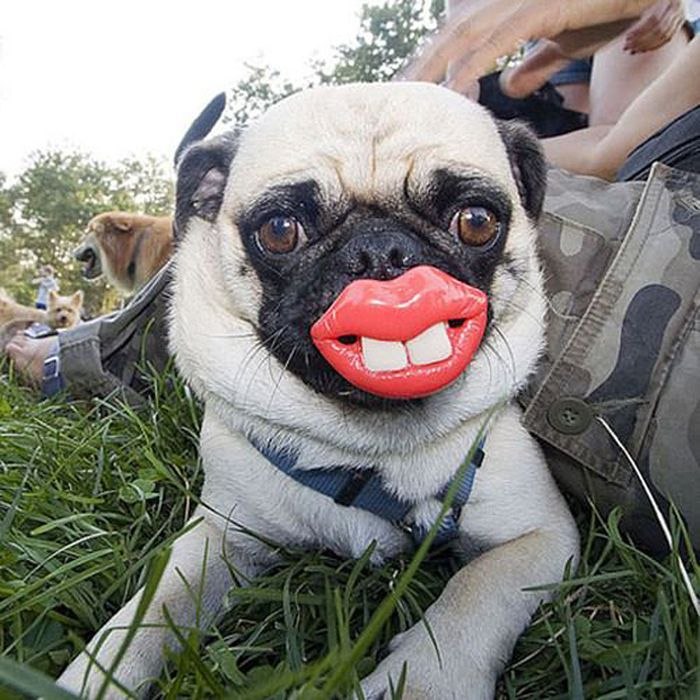 Иван Савельев =ИВАНЫЧ= | Сестрорецк