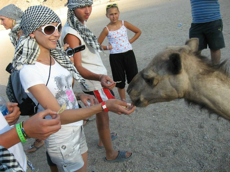 Александр Пашков | Верхняя Пышма