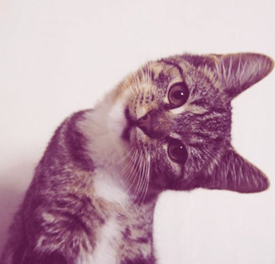 Алексей Корнеев | Москва