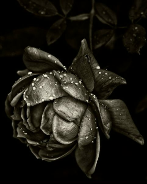 №48, Денис Стадник, 39 лет, Донецк №48, Денис Стадник, 39 лет, Донецк