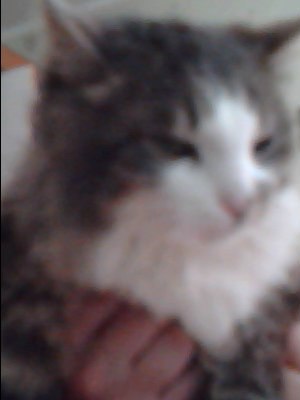 Дмитрий Клочко HealthLife | Кривой Рог