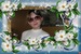 Наталья Соколова фотография #13 (источник - https://vk.com/id138846187)