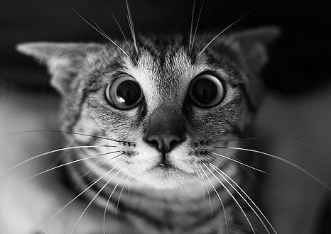 Андрій Жеграй | Львов