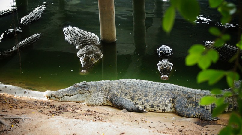 Татьяна Потапкина | 