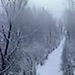 Андрей Журавлёв фотография #22